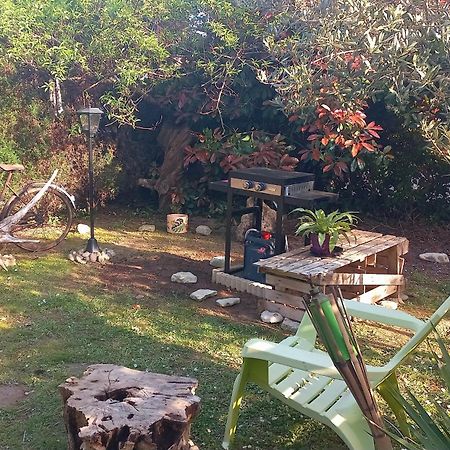 Studio Nature Et Beauregard 30M2 En Duplex Proche Lac, Cures Thermales Et Commerces Saint-Paul-lès-Dax Εξωτερικό φωτογραφία